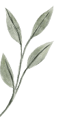 left-decoration