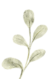 right-decoration